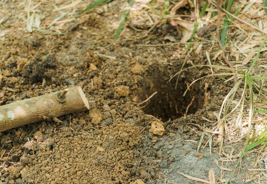 Soil pit showing clay over a caliche layer on a Taylor County lot